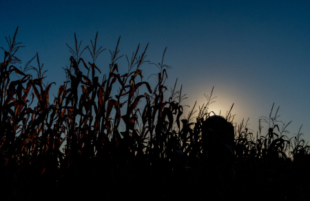 Pennsylvania Countryside