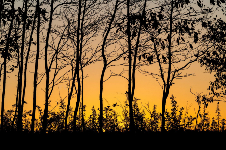 Pennsylvania Sunrise