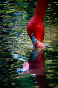 20241116-DSC02943-Enhanced-NR-Edit-scaled