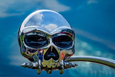 Skull Rear View Mirror
