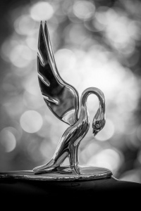 1935 - 1937 Packard Hood Ornament