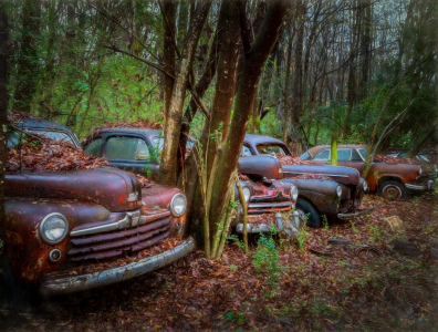 Junk Yard Cars