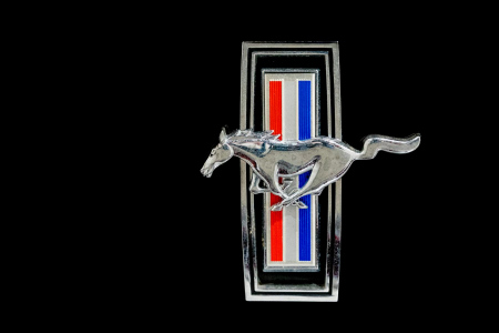 Horse Emblem for 1970 Mustangs