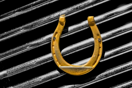 Mercedes Radiator Grille Horseshoe Badge Emblem