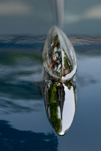 Exposition of Elegance: Classic Cars at Cheekwood