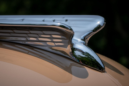 Exposition of Elegance: Classic Cars at Cheekwood