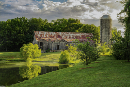 Morning Light at Harlinsdale Farm