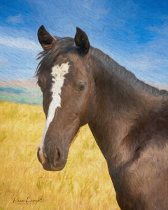 North Dakota Countryside