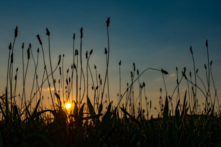 unset at Harlinsdale Farms