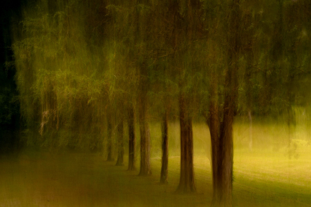 Intentional Camera Blur