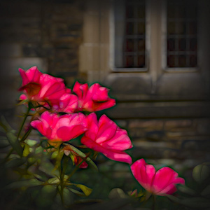 Scarritt Bennett Flowers