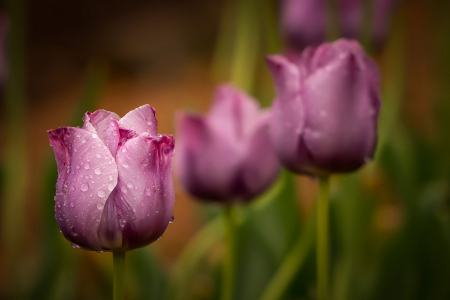 After The Rain