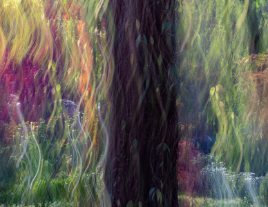 Natures Beauty in the Abstract