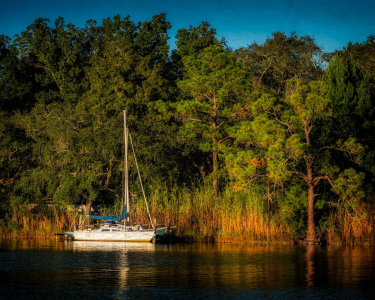 Sail in the Cove, Destin FL