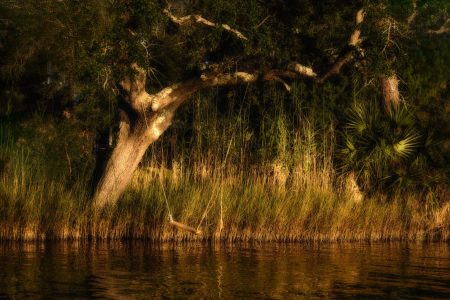 Destin Fl Cove, Destin FL