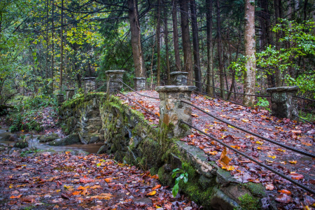 Troll Bridge Smokey Mountain National Park