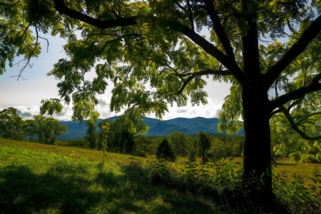 Cades Cove, Smokey Mountain National Park