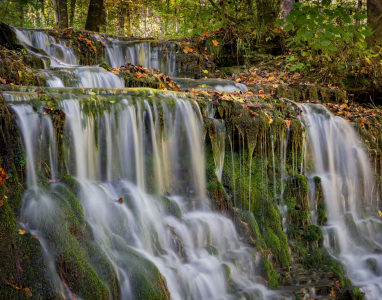 City Lake Natural Area