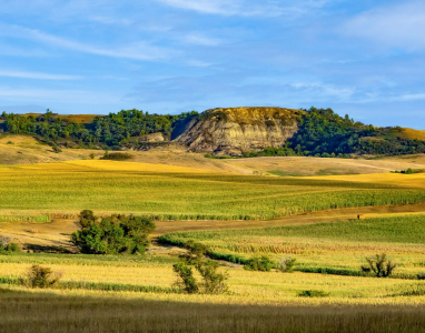 Whiskey Hill, Hazelton ND