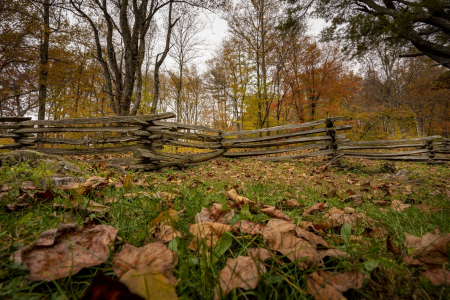 Mabry Mill, Blue Ridge Parkway