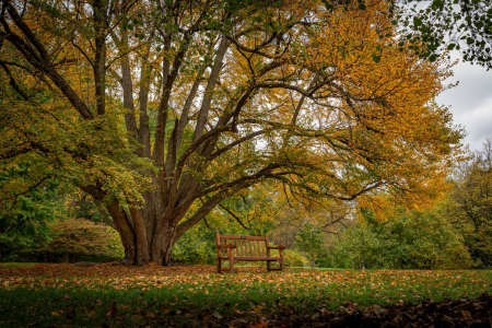 Hershey Botanical Gardens