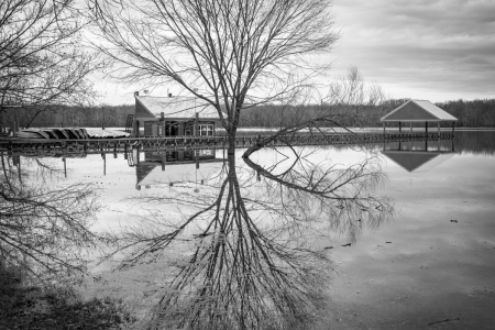 Winter Flood at Long Hunter State Park