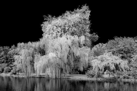 Centennial Park, Nashville TN