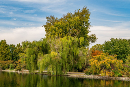 Centennial Park, Nashville TN