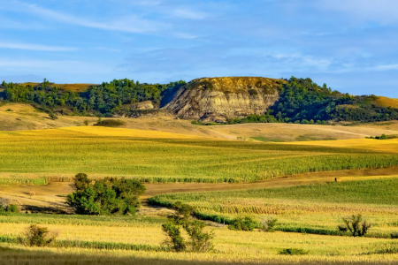 Whiskey Hill, Hazelton ND
