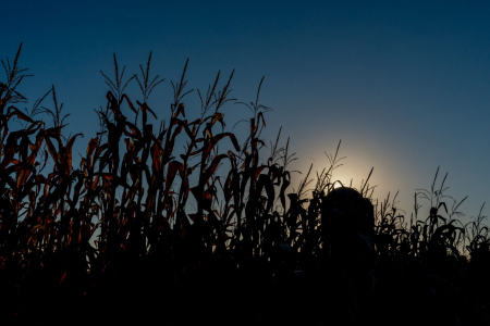 Pennsylvania Countryside