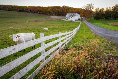 Pennsylvania Backroads