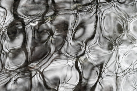 Water in the Abstract
