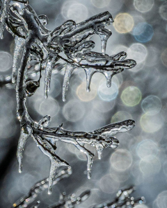 2026 Ice Storm