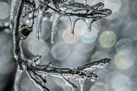 2026 Ice Storm