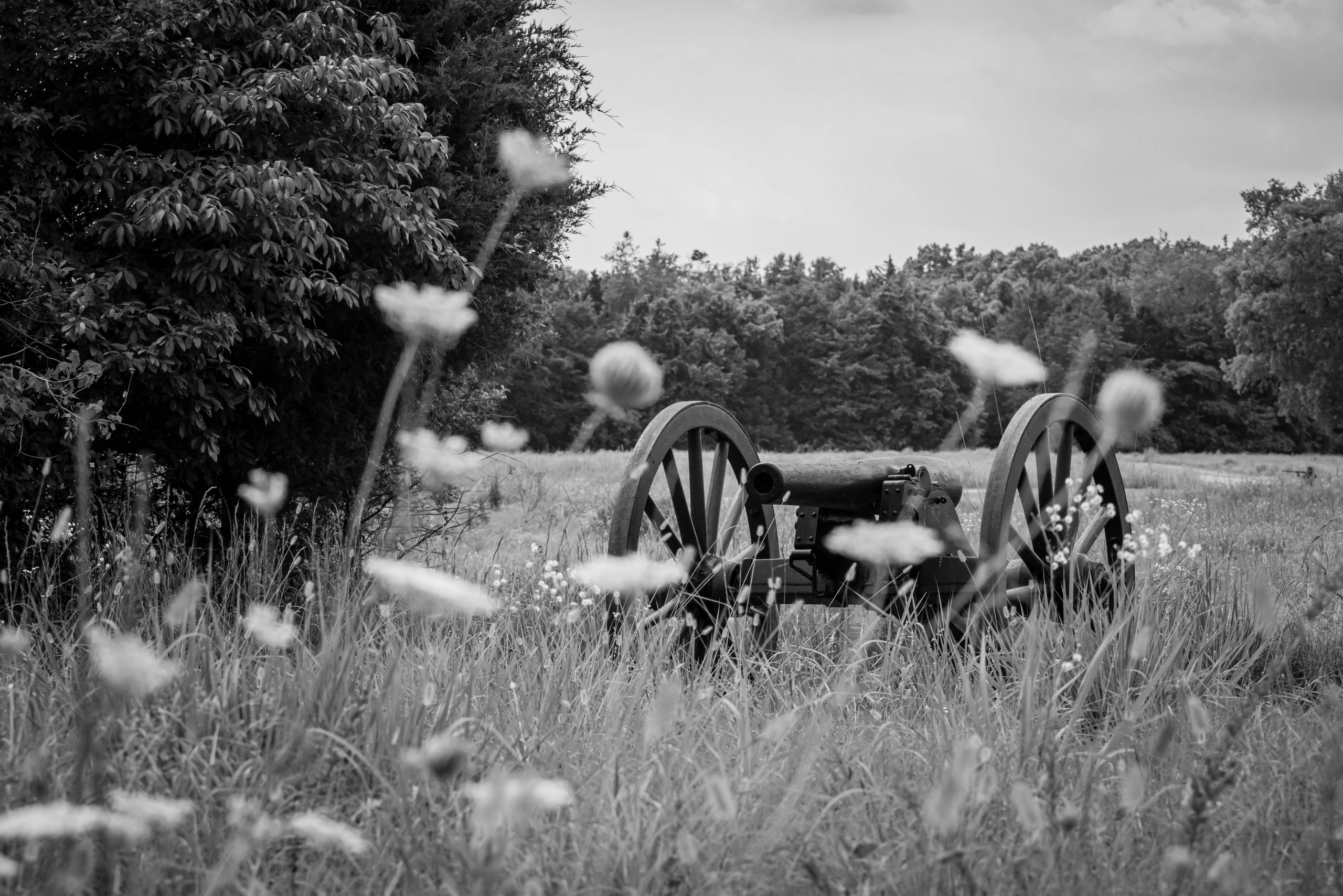Stones River National Battlefield Cannon