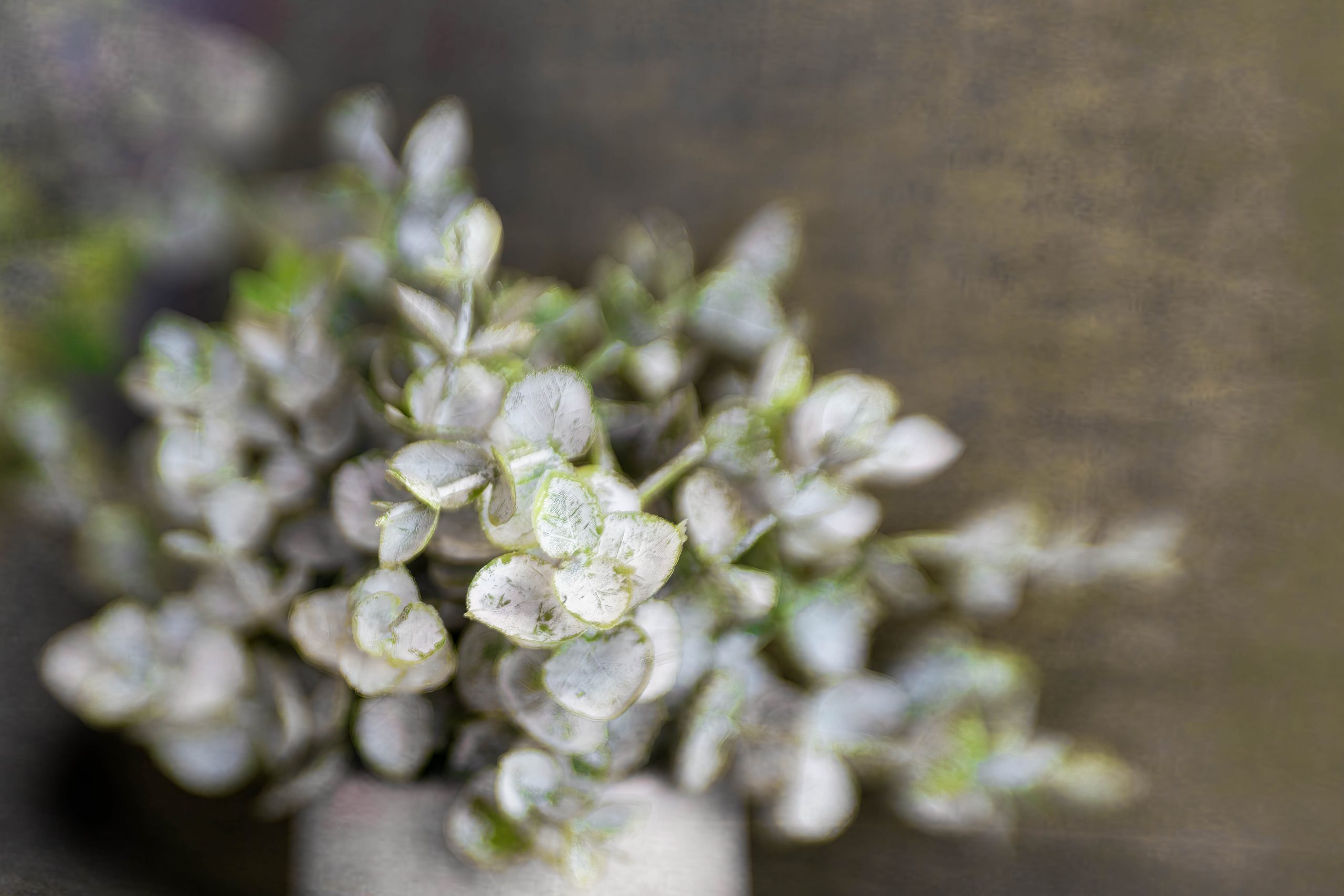 Sending Smiles Your Way