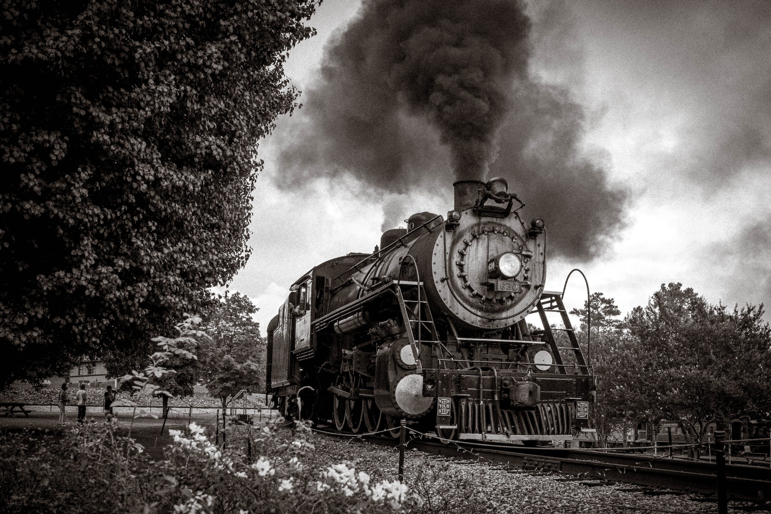Train 699 - Tennessee Valley Railroad Museum